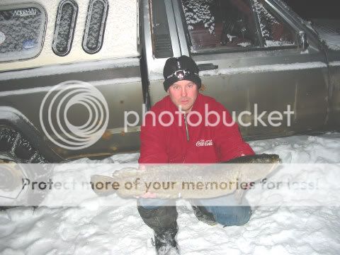 [Image: Burbot1a.jpg]