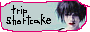 Trip Shortcake